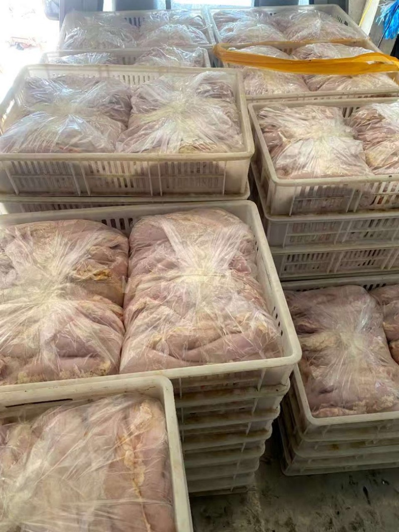 精品新鲜猪肚货源充足对接各大平台商超