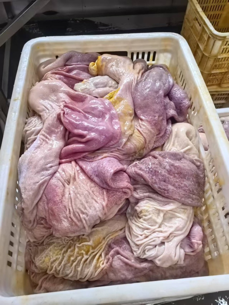 精品新鲜猪肚货源充足对接各大平台商超