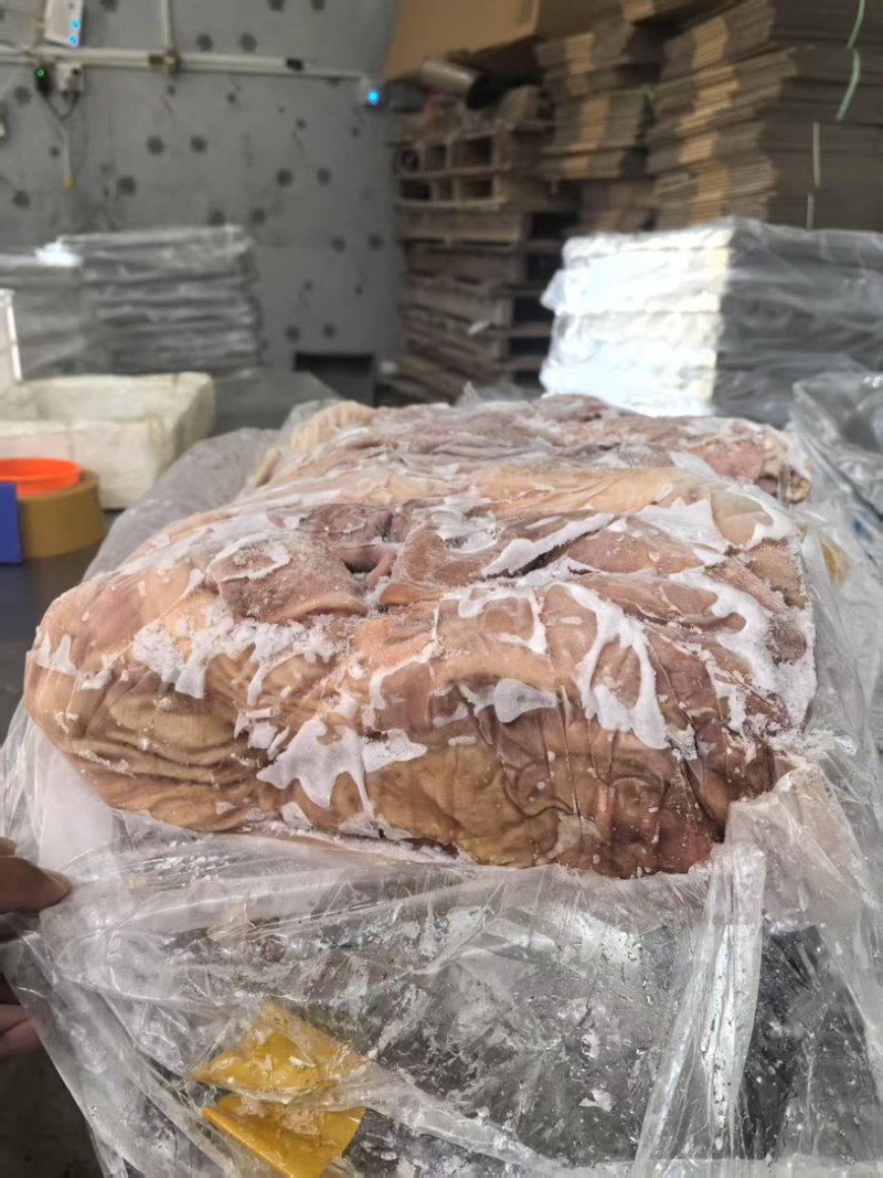 精品新鲜猪肚货源充足对接各大平台商超