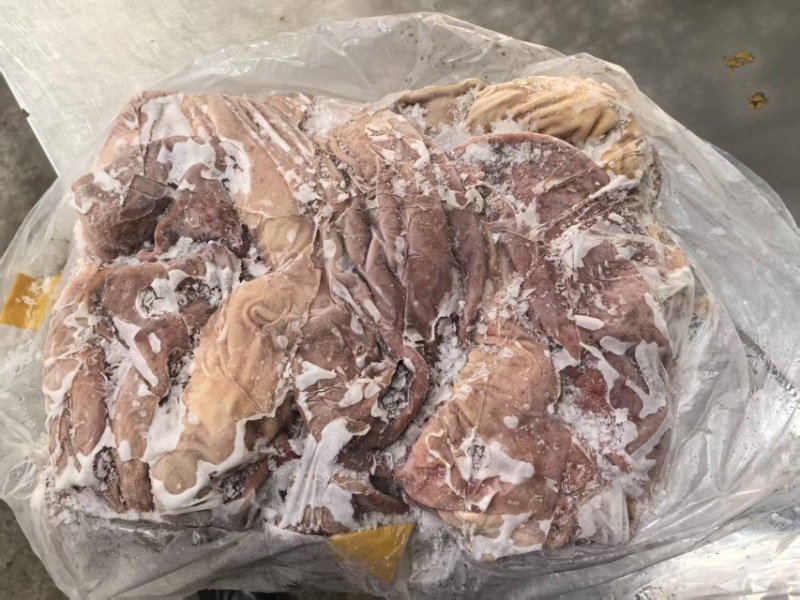 精品新鲜猪肚货源充足对接各大平台商超