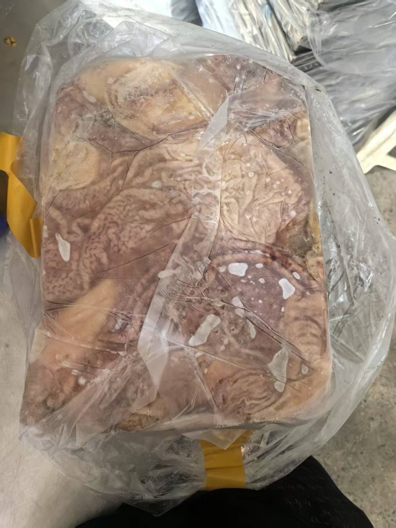 精品新鲜猪肚货源充足对接各大平台商超