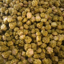 涪陵优质榨菜头每件20kg净重不含水。