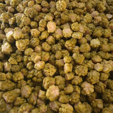 涪陵优质榨菜头每件20kg净重不含水。
