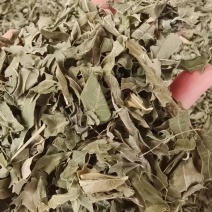罗布麻叶草药干货2斤包邮量大优惠