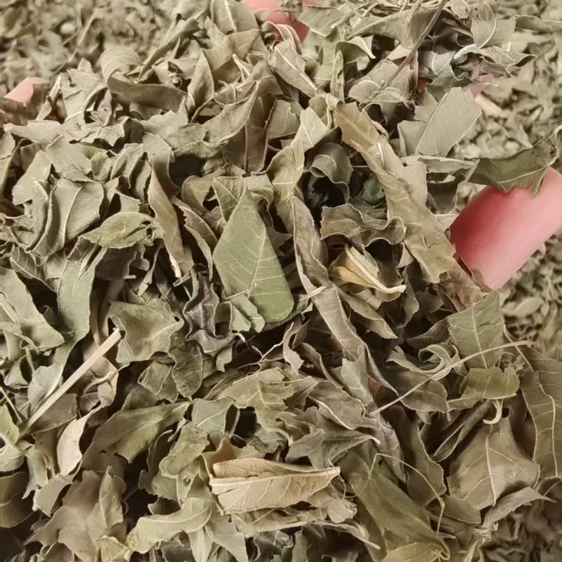 罗布麻叶草药干货2斤包邮量大优惠