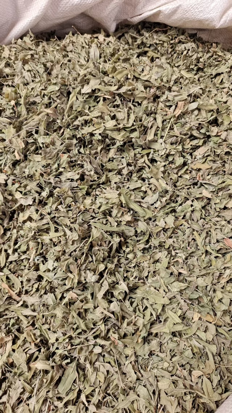 罗布麻叶草药干货2斤包邮量大优惠