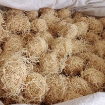 竹茹球干净干货2斤包邮量大优惠