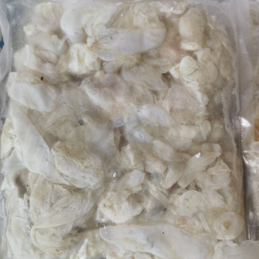 草鱼泡