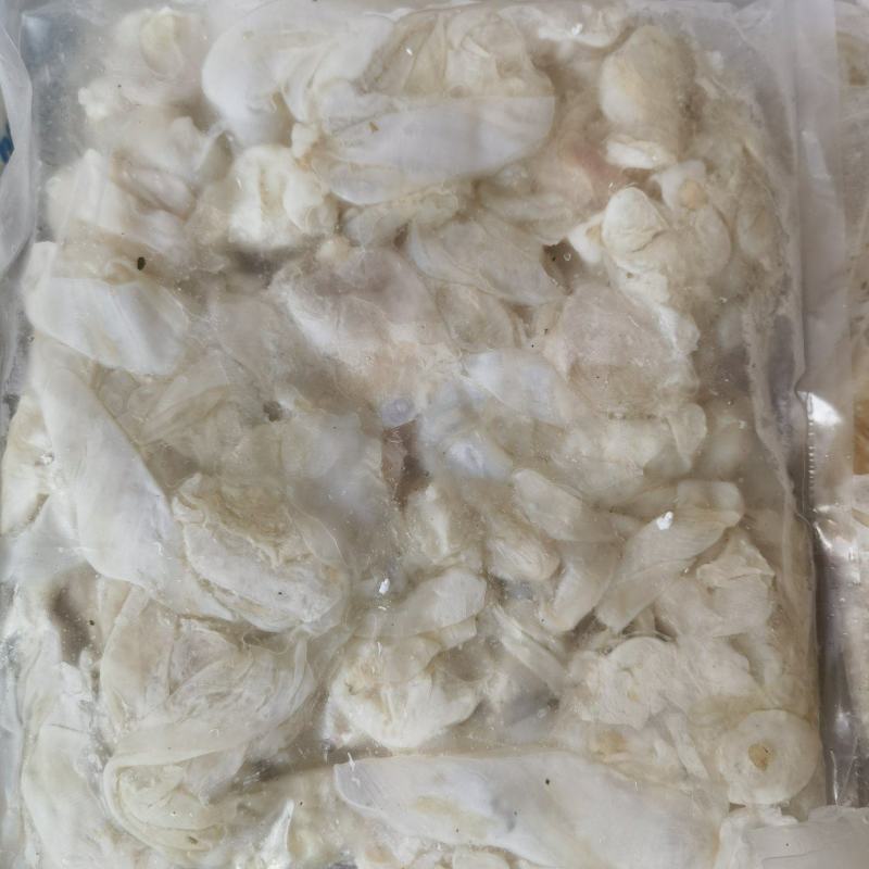 草鱼泡