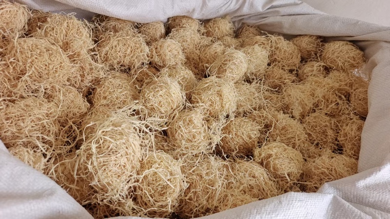 竹茹球干净干货2斤包邮量大优惠