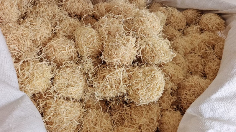 竹茹球干净干货2斤包邮量大优惠