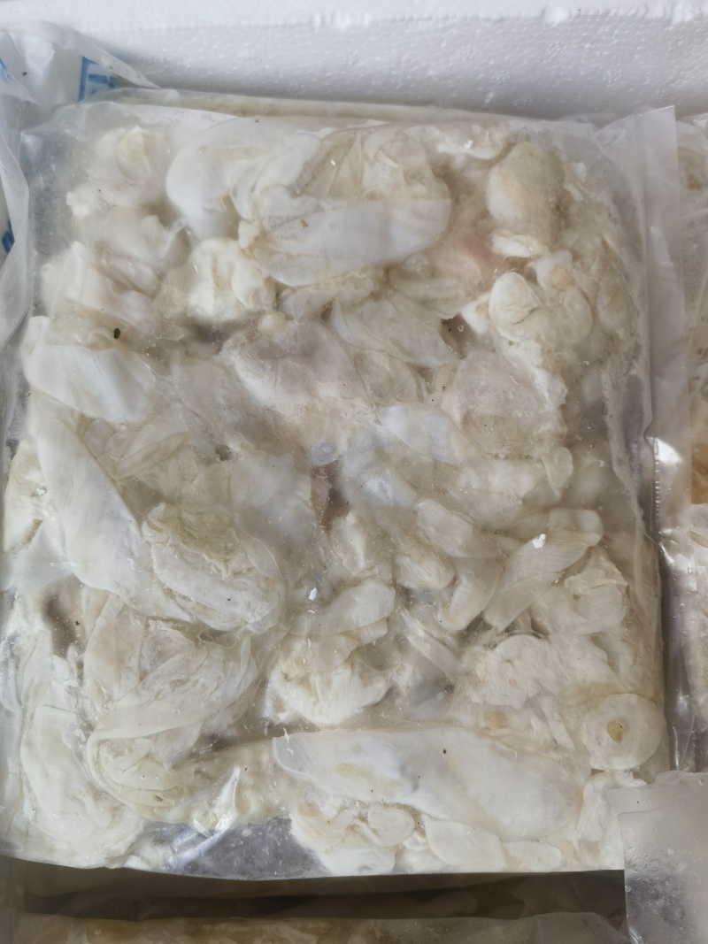 草鱼泡