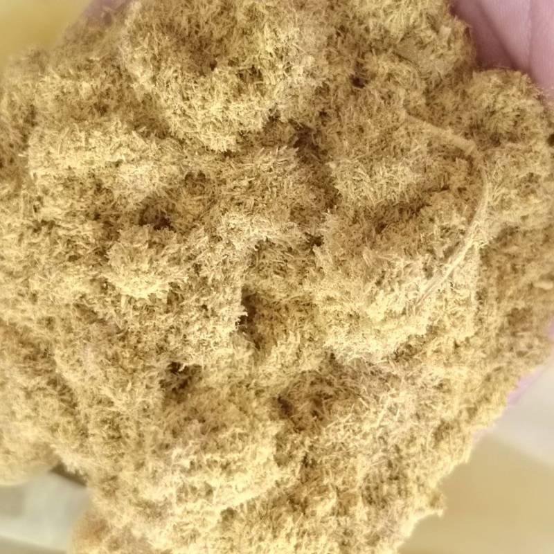 山东精品蒲黄统货