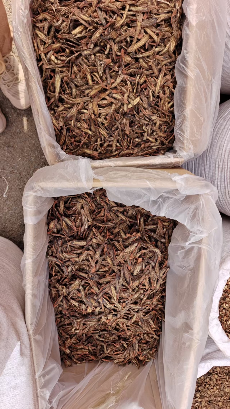 丹参发汗丹参选货大片泡茶2斤包邮量大优惠