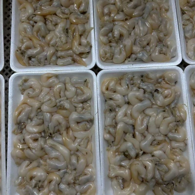 辽宁东港生开鲜冻去沙去脏刺参级黄鸟贝肉（无水无冰衣）
