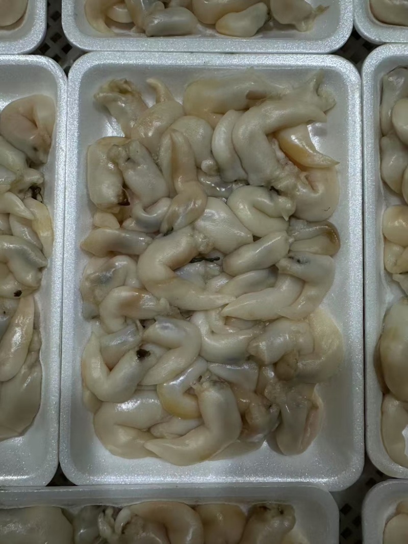 辽宁东港生开鲜冻去沙去脏刺参级黄鸟贝肉（无水无冰衣）
