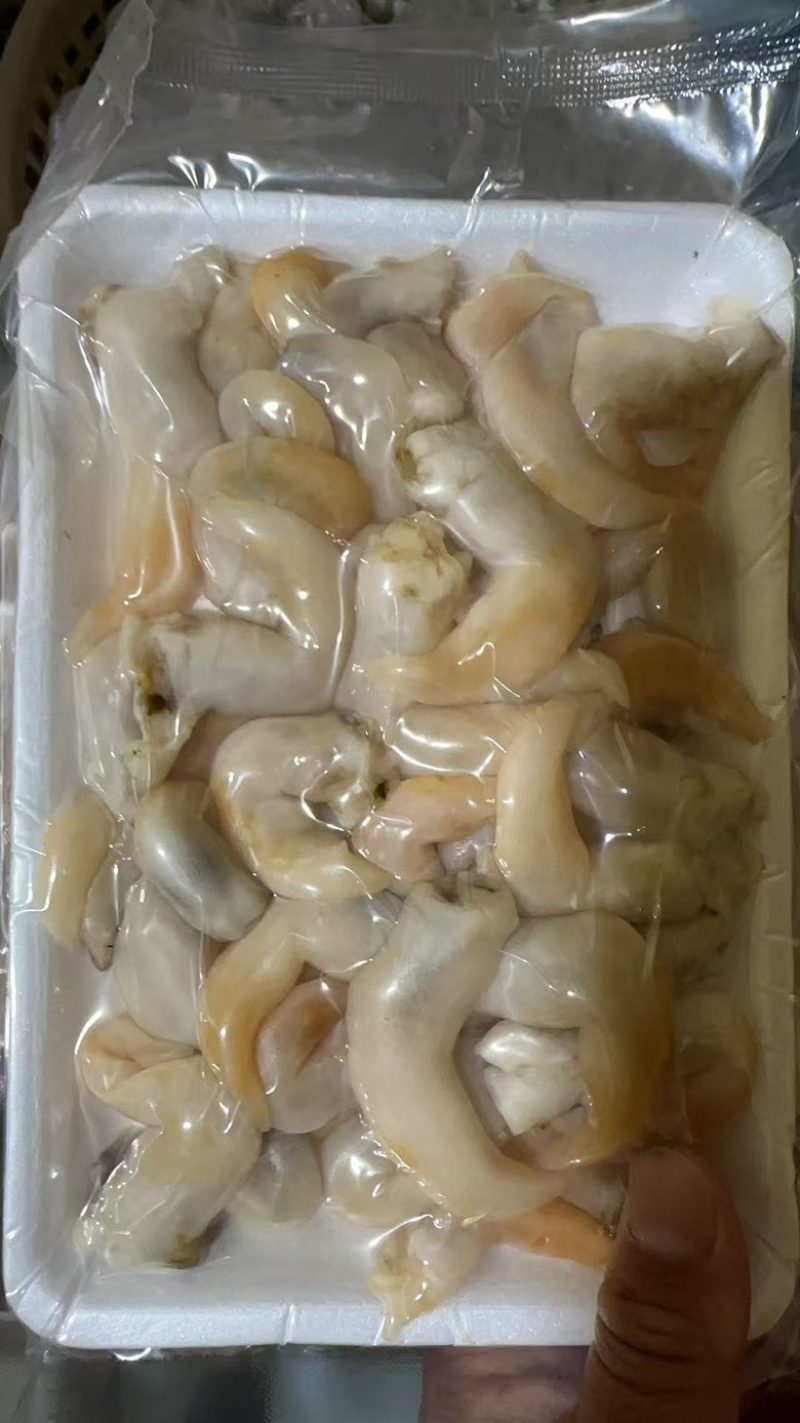 辽宁东港生开鲜冻去沙去脏刺参级黄鸟贝肉（无水无冰衣）