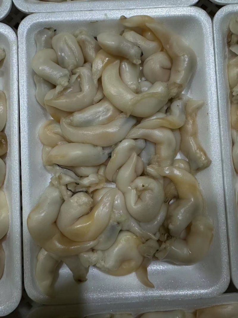辽宁东港生开鲜冻去沙去脏刺参级黄鸟贝肉（无水无冰衣）