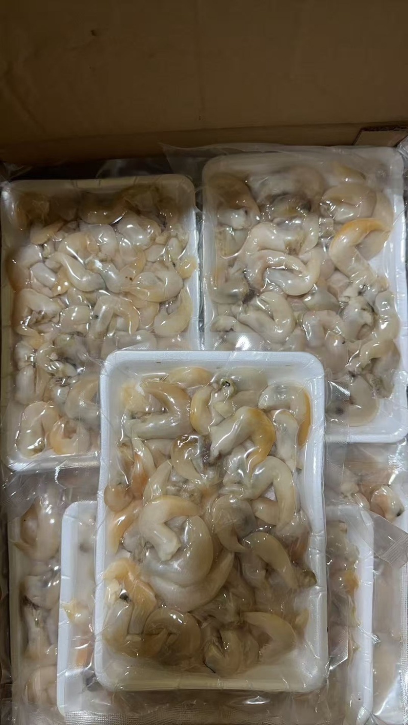 辽宁东港生开鲜冻去沙去脏刺参级黄鸟贝肉（无水无冰衣）