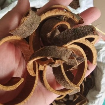 肉桂肉桂丝干货2斤包邮量大优惠