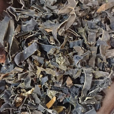 昆布中药材干货2斤包邮量大优惠