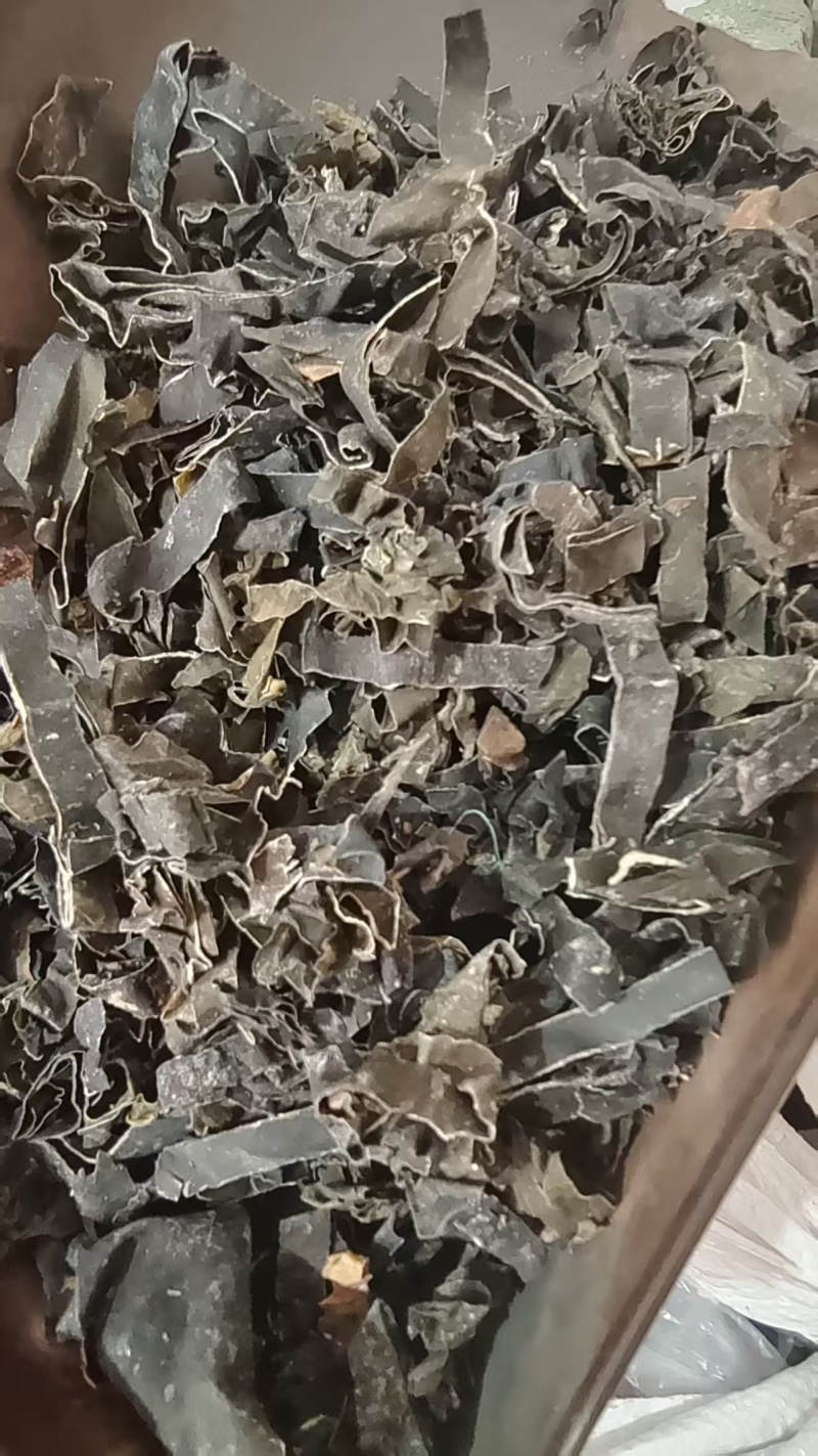 昆布中药材干货2斤包邮量大优惠