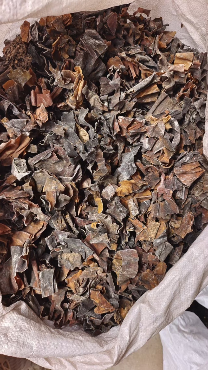昆布中药材干货2斤包邮量大优惠