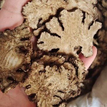 川芎干货切片选货2斤包邮量大优惠