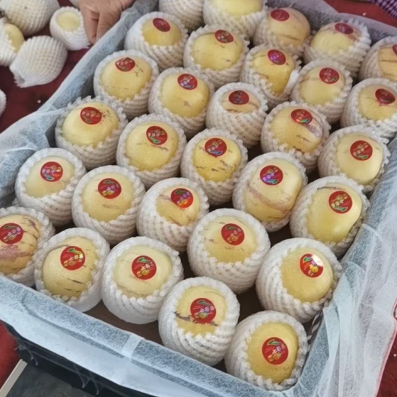 云南省人参果果园直采对接电商/团购欢迎选购