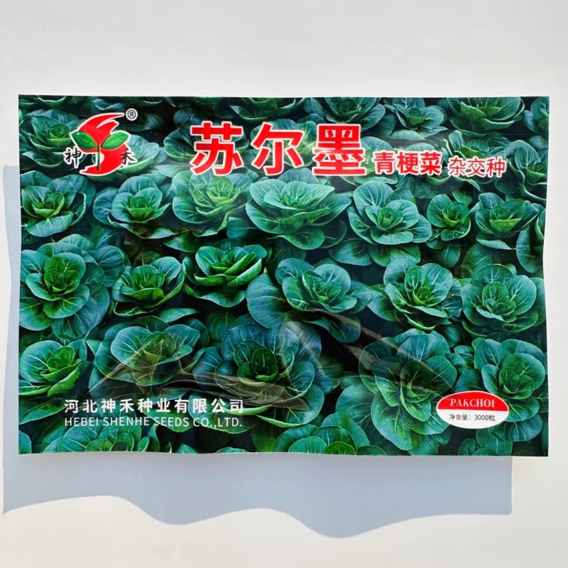 苏尔墨杂交青梗菜种子矮箕黑亮苏州青种子柄绿肥厚耐寒耐热