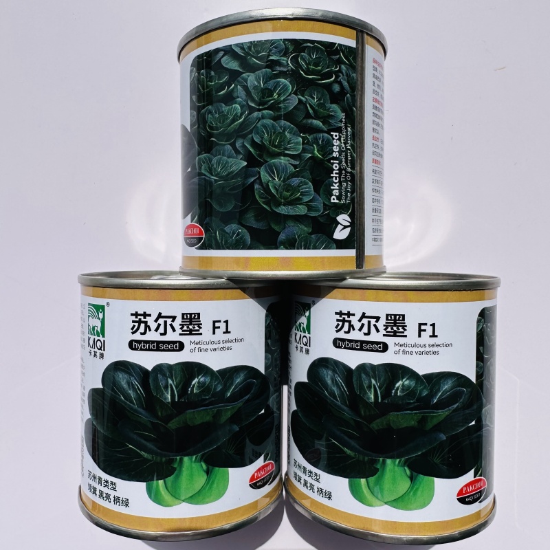 苏尔墨杂交青梗菜种子矮箕黑亮苏州青种子柄绿肥厚耐寒耐热