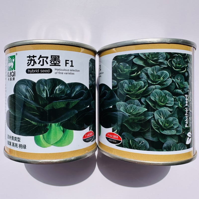 苏尔墨杂交青梗菜种子矮箕黑亮苏州青种子柄绿肥厚耐寒耐热