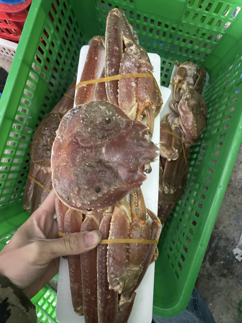 雪蟹冰鲜海鲜水产