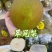 翠冠梨湖北翠冠梨皮薄多汁基地直供品质保证欢迎咨询