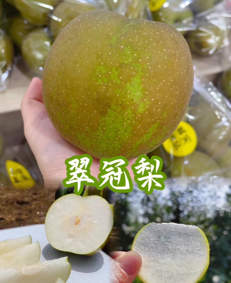 翠冠梨湖北翠冠梨皮薄多汁基地直供品质保证欢迎咨询