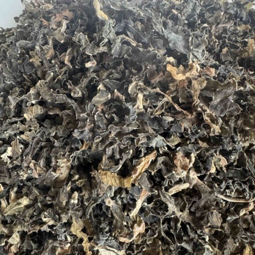 水洗无沙芥菜干没有任何一点杂质，香味十足，干度9成