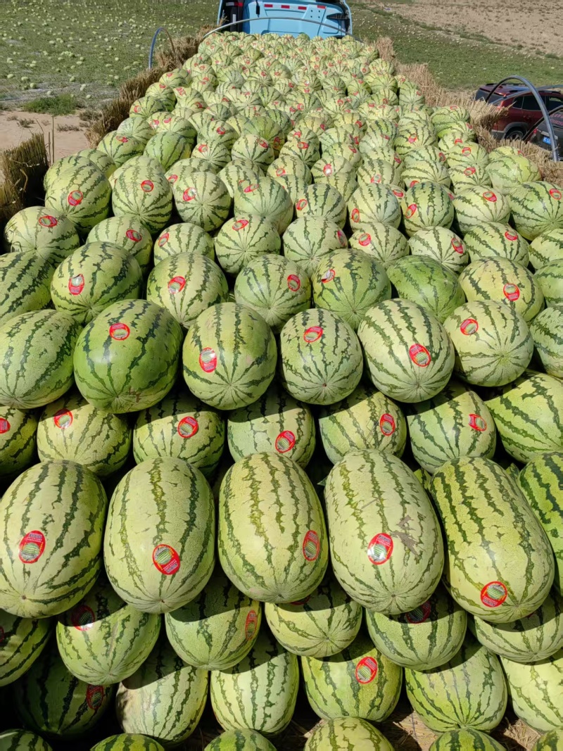 宁夏大山里的石头瓜硒砂瓜西瓜品质保证价格美丽