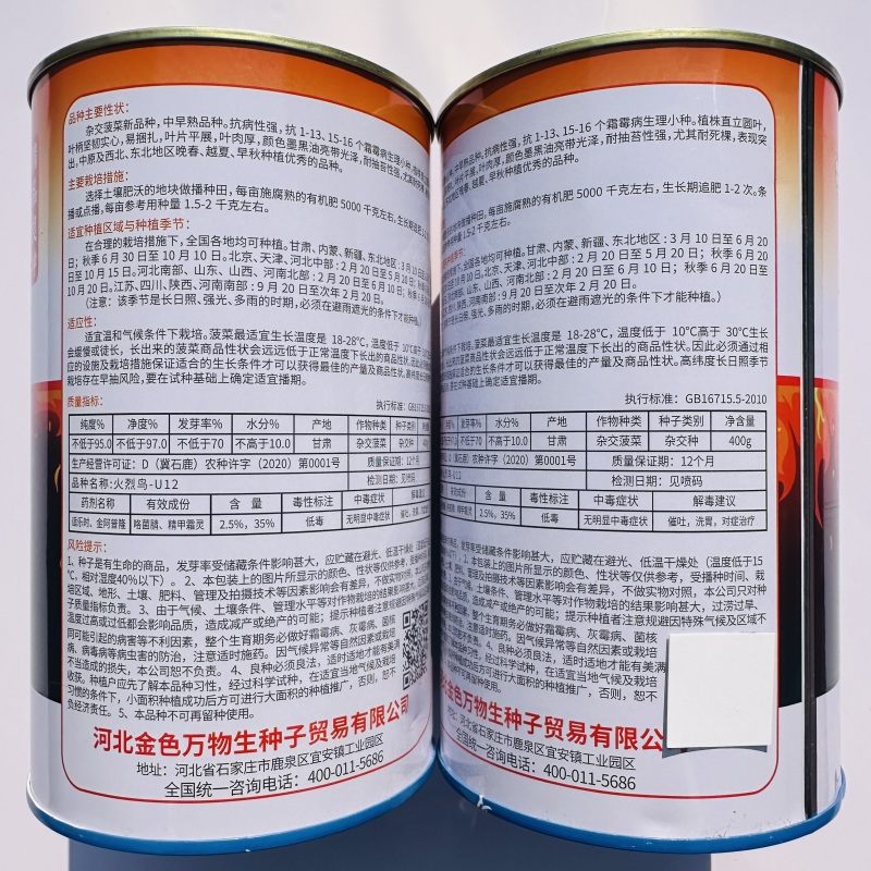 杂交菠菜新品种火烈鸟菠菜种子抗病菠菜种子叶深绿