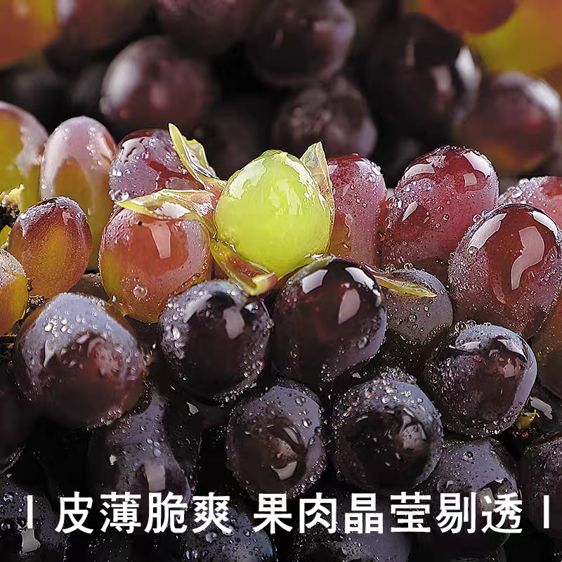 山东平邑精品茉莉香葡萄。颗粒饱满，口感超甜。