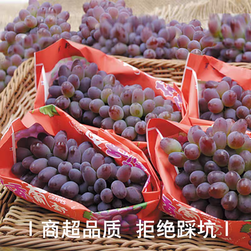 山东平邑精品茉莉香葡萄。颗粒饱满，口感超甜。