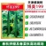 德瑞特博美199黄瓜种子深绿油亮绿肉绿瓤长黄瓜种子抗热