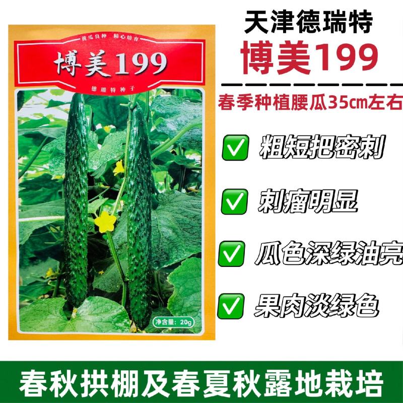 德瑞特博美199黄瓜种子深绿油亮绿肉绿瓤长黄瓜种子抗热