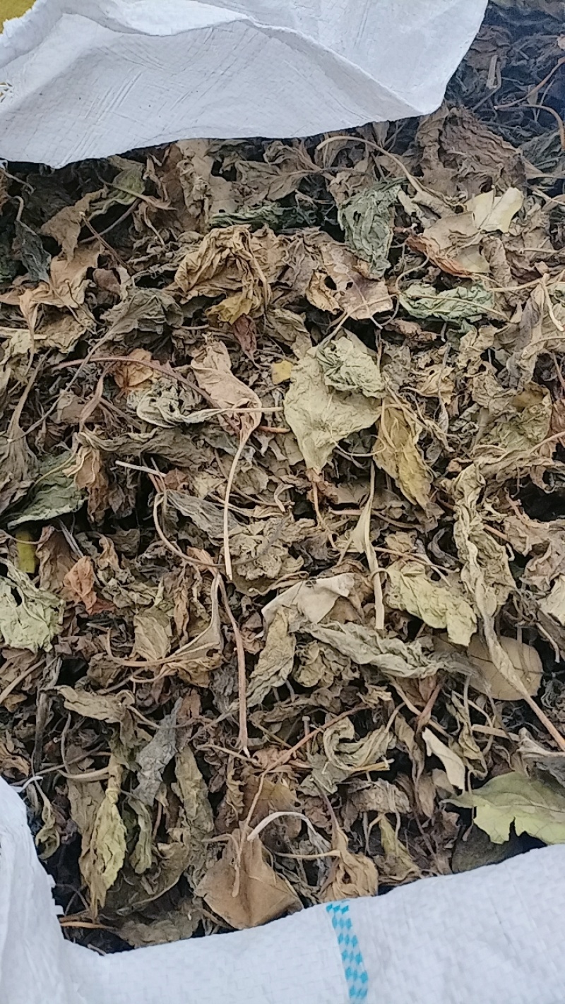 青苏叶，本地传统特色农副产品，片叶，无杂质。