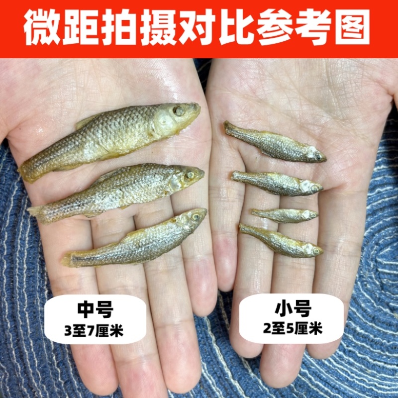 弄子鱼干火培鱼厂家批发烟熏火培鱼干油炸小鱼麦穗鱼干