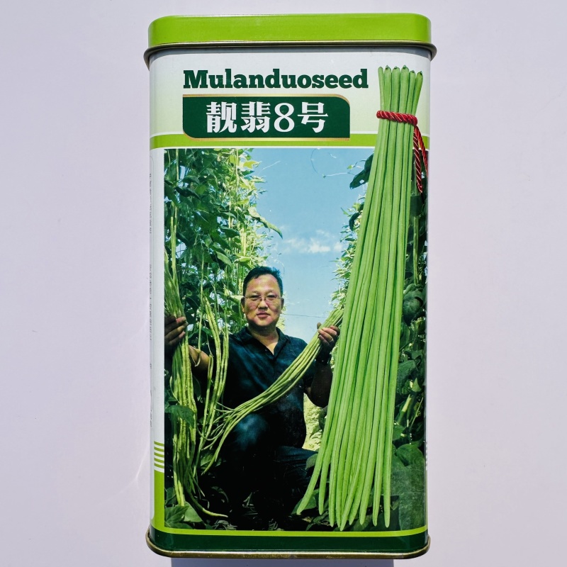 慕兰多靓翡8号豆角翠绿条长豇豆种子厚肉长豆角种籽早熟春秋