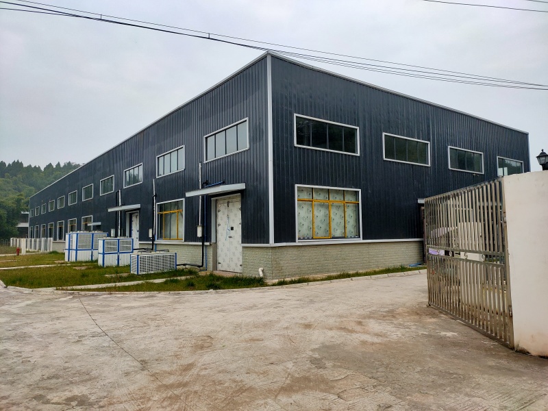 600亩早熟儿菜，基地直销，无中间商赚差价，欢迎洽谈合作