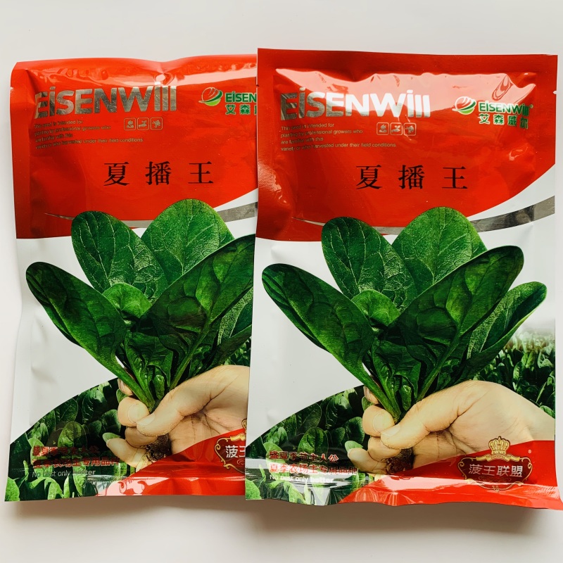 夏季专用抗热菠菜种子夏播丹麦进口菠菜种籽特耐热菠菜籽