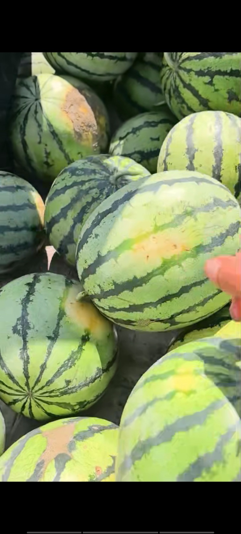 西瓜