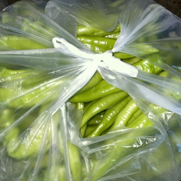 菜椒，黄皮椒，螺丝椒出货了