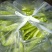 菜椒，黄皮椒，螺丝椒出货了